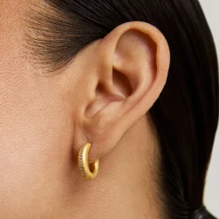 Online Colette Pavé Huggies Earrings