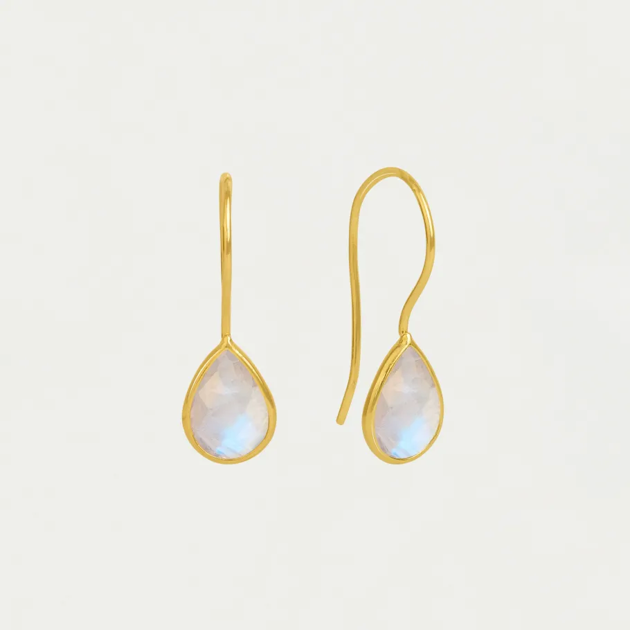 Clearance Nosara Droplet Earrings Drop Earrings | Earrings